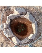 1 arbre 1 solution, projet climat, j'offre un arbre à planter au Niger